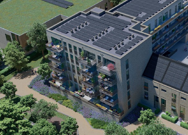 Bruispad | Schothorst-Zuid | Amersfoort