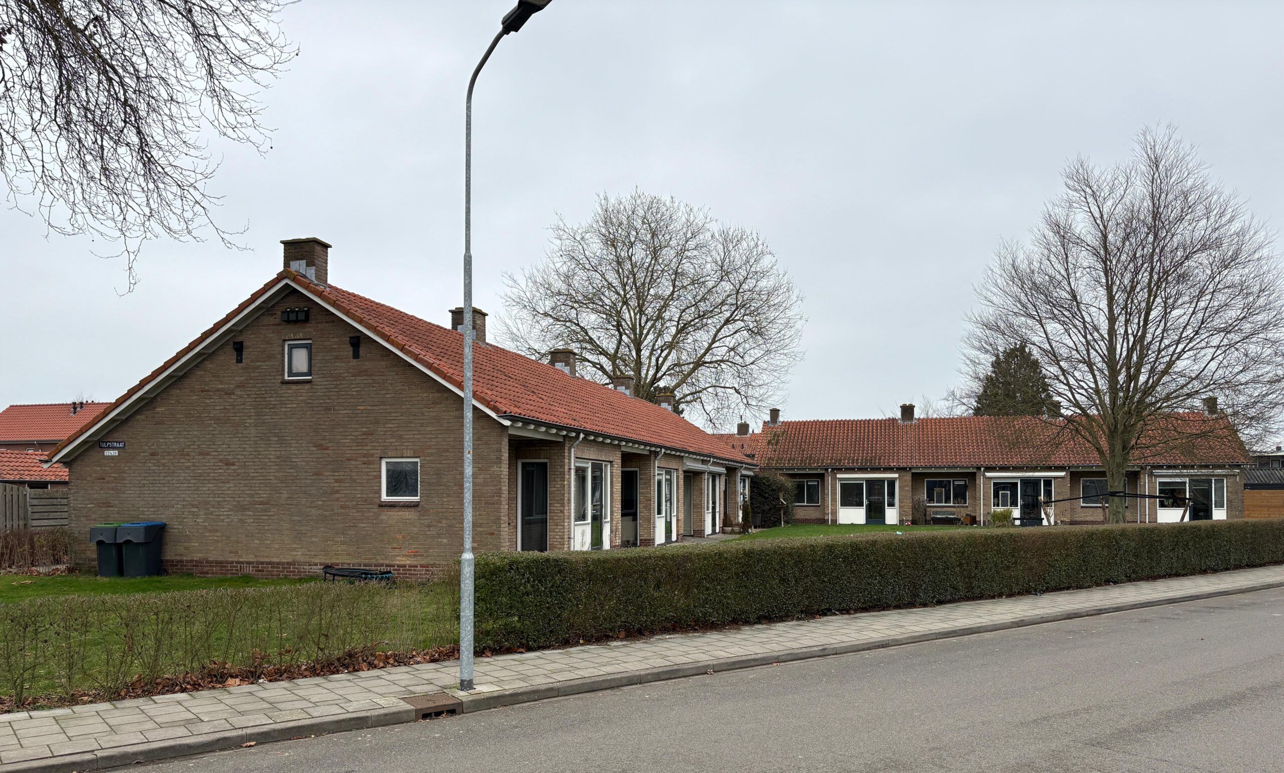 Anjer- en Tulpstraat | Oldebroek